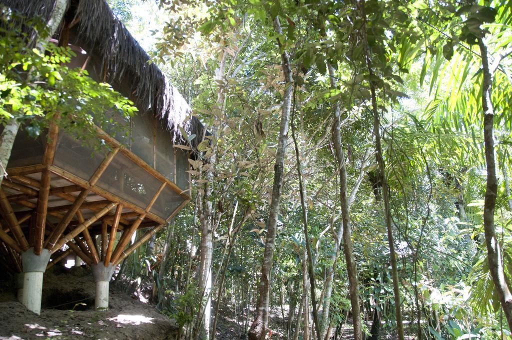 Universo Pol Bamboo Hostel Morro de São Paulo Zimmer foto